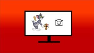 How to capture screen shot in windows operating system?