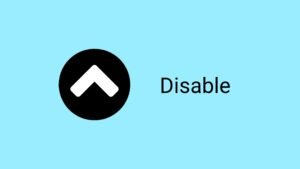 How to disable the scroll to top button Wordpress ?