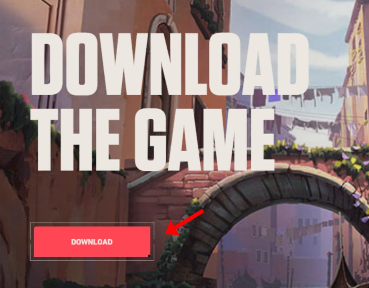 Download option Valorant