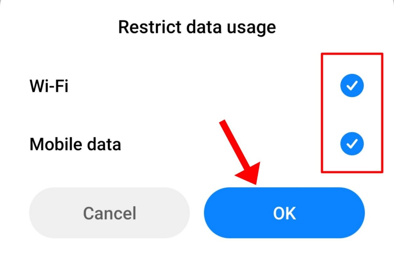 Prohibit use of mobile data or wifi