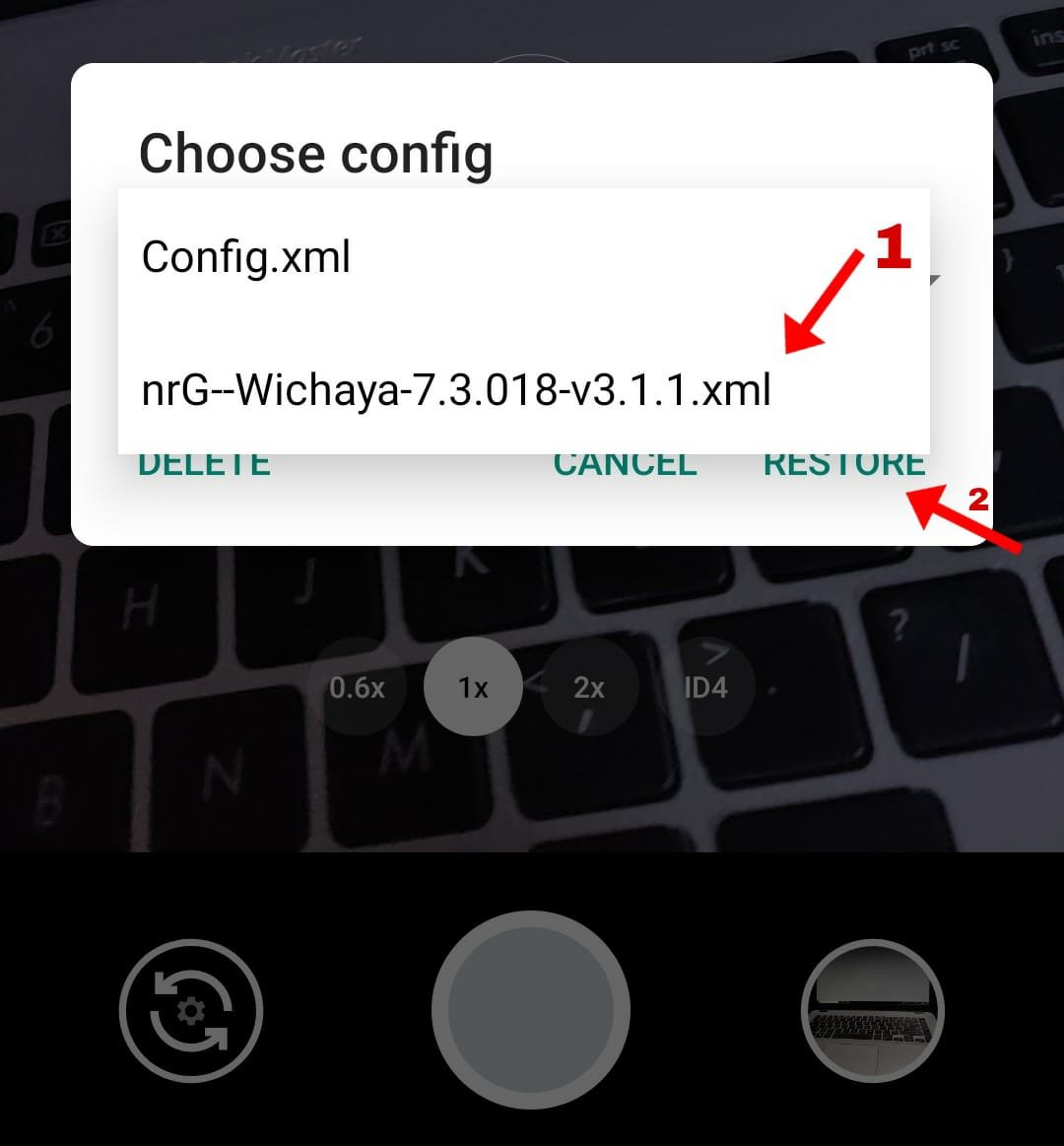Select and click restore to apply the config file on gcam