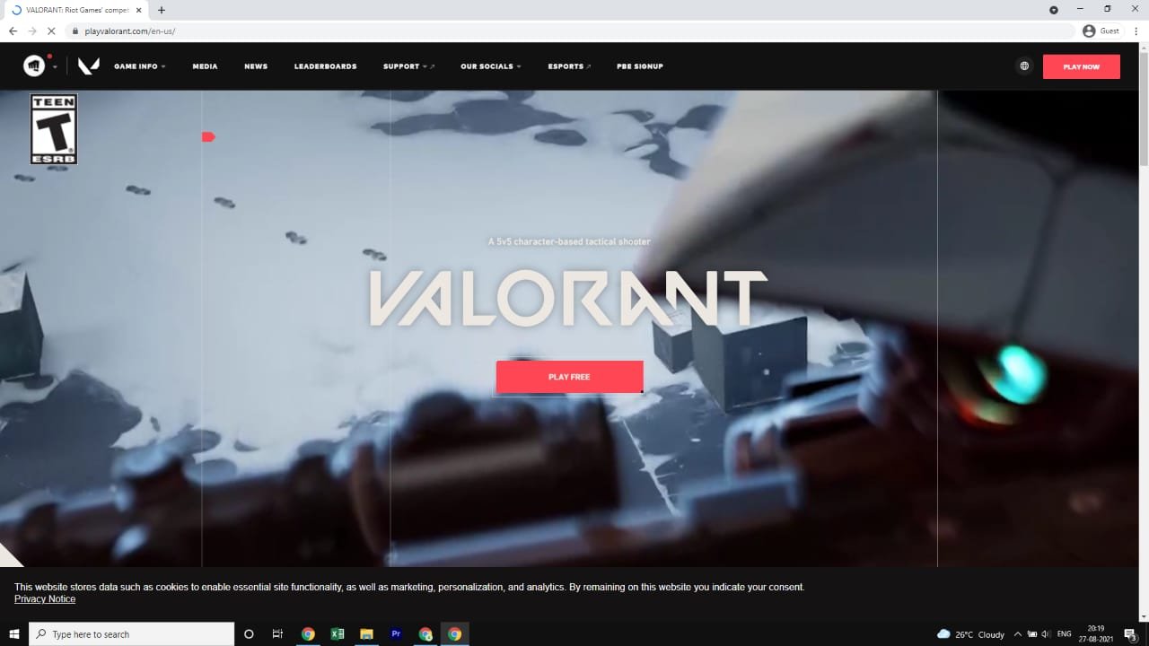 Valorant site homwpage