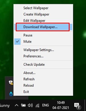 Rainwallpaper Setting option