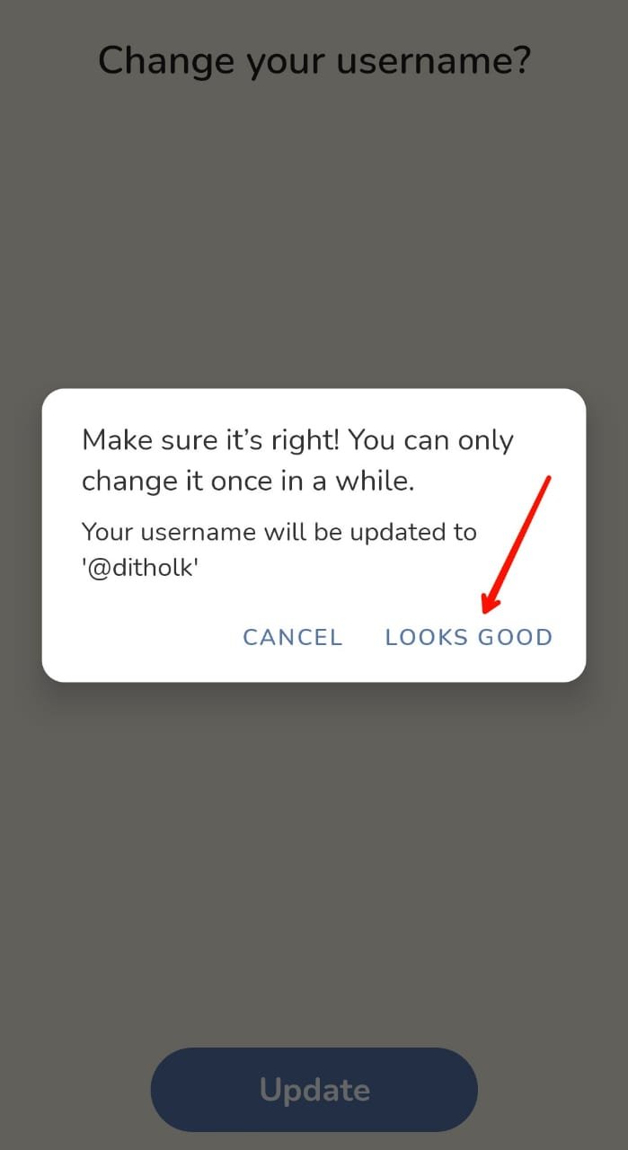 Looks Good option To Update Username