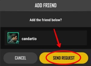 Confirm the request to send