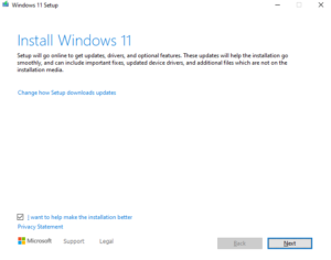 Windows 11 ISO Installation page