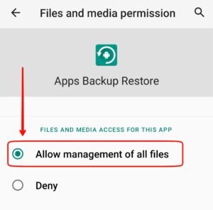 Allow Management of all files option for app backup and restore from system settings