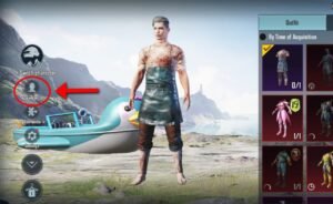 Appearance BGMI-Pubg Mobile
