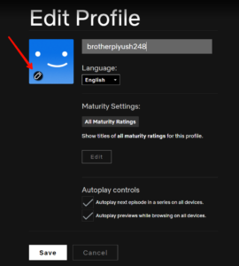 Edit Profile Picture For Netflix Profile