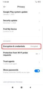 Check Device Encryption Status