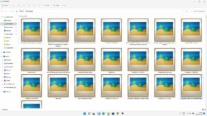 Photo Video Files Thumbnail Not Showing in Windows Explorer