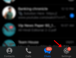 Setting icon in Telegram iOS