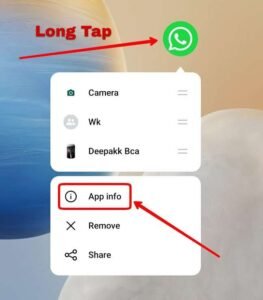 long tap on whatsapp and go to app info