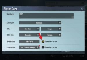 allow other to view birthday date bgmi pubg mobile