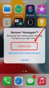 now tap on delete app
